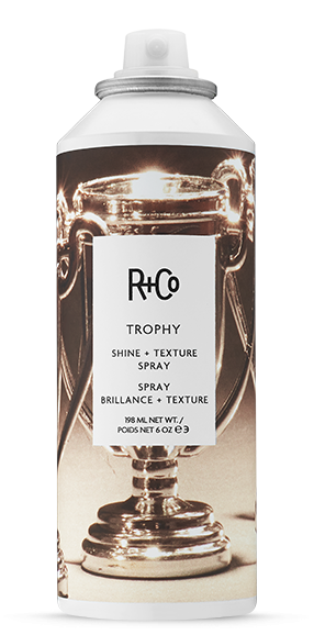 R+Co Trophy Shine + Texture Spray